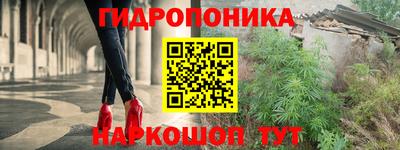 индика Новокубанск