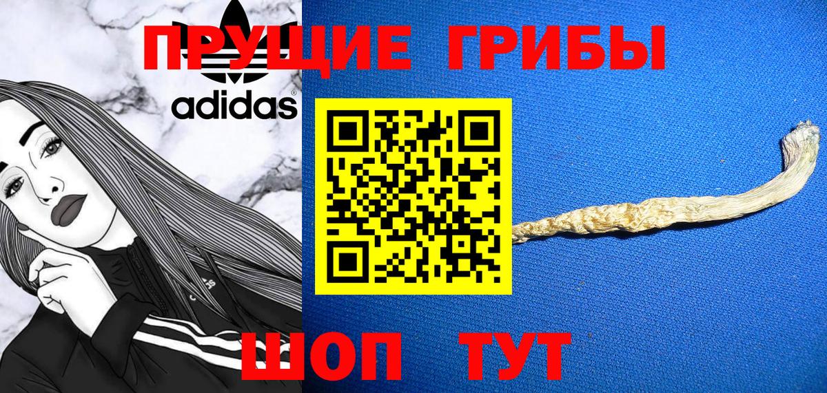 Псилоцибиновые грибы MAGIC MUSHROOMS Удомля
