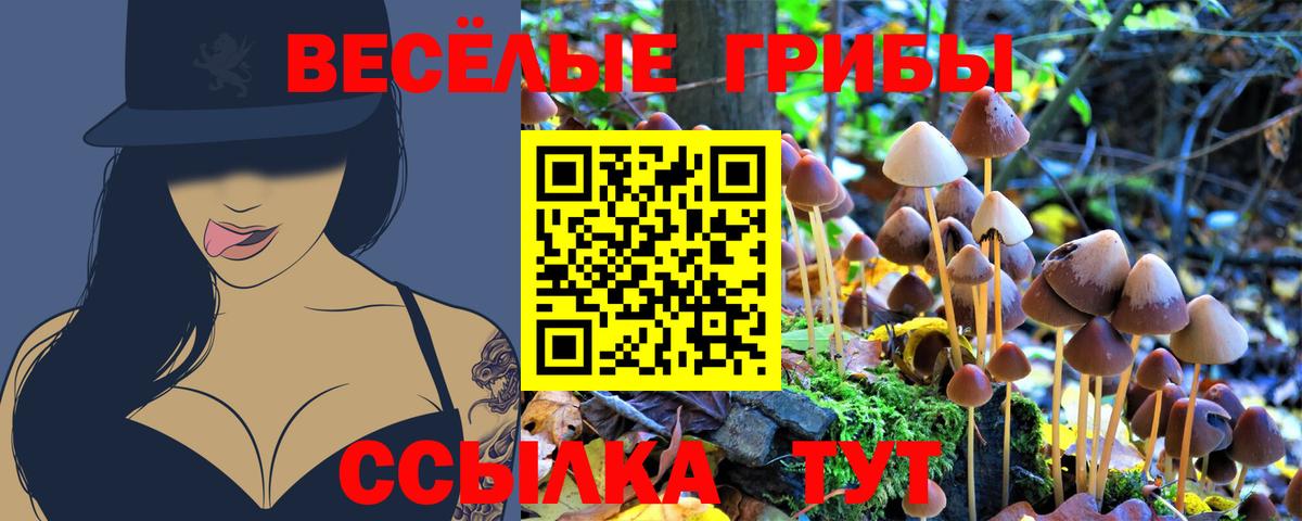 Удомля  Галлюциногенные грибы Psilocybine cubensis  Вход с VPN 